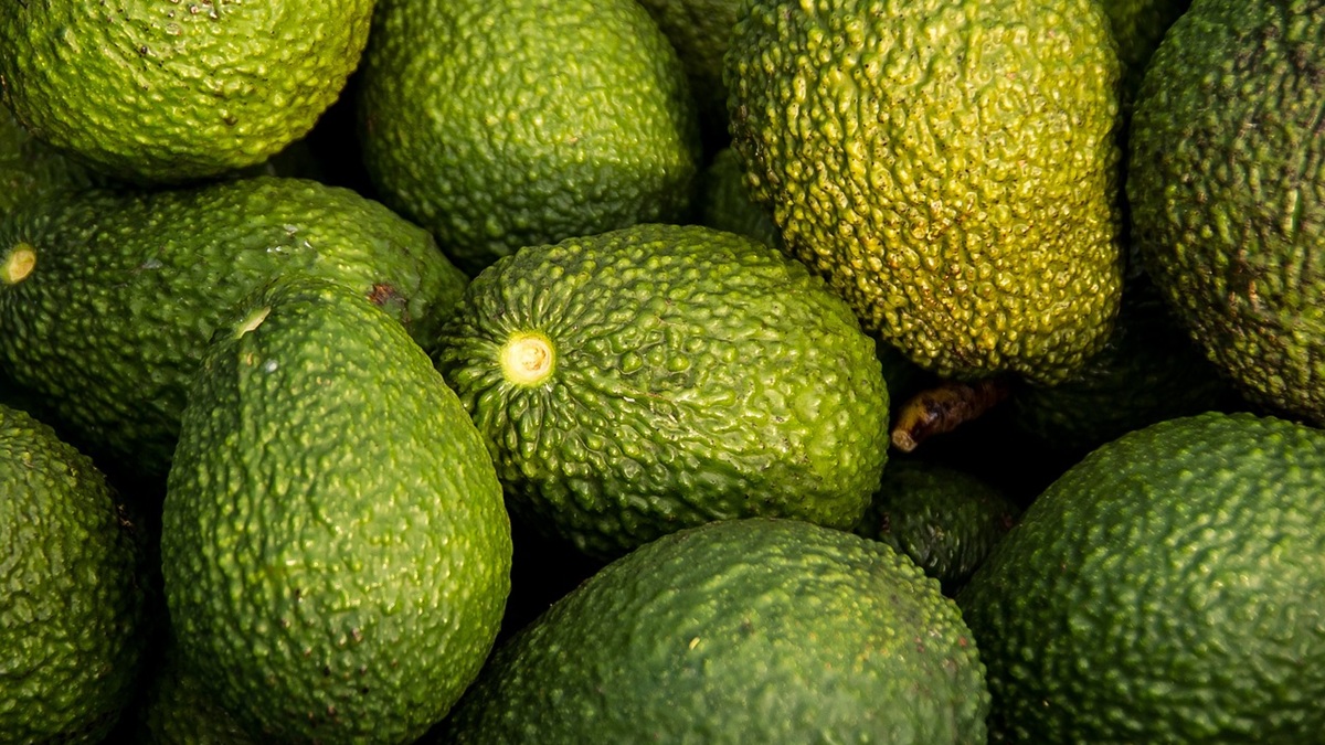 Chile recupera sus condiciones arancelarias en EE.UU.jpg